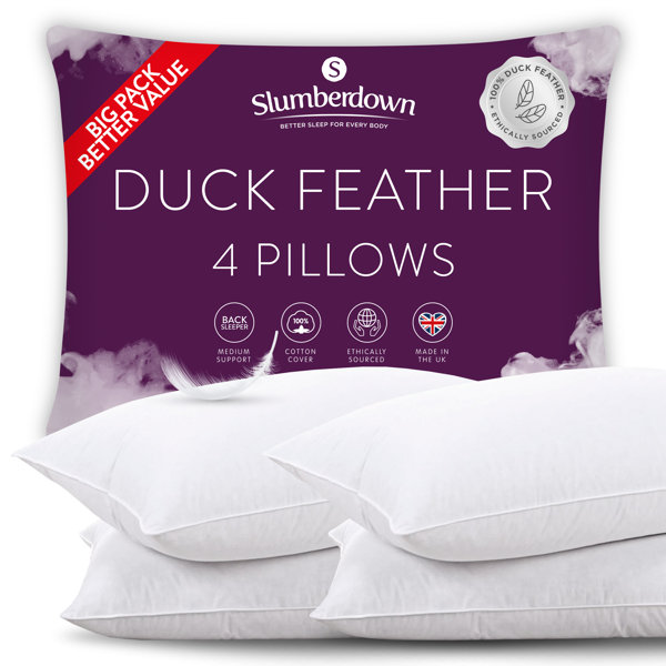 Fogarty Duck Feather And Down Medium support Pillow Pair Wayfair